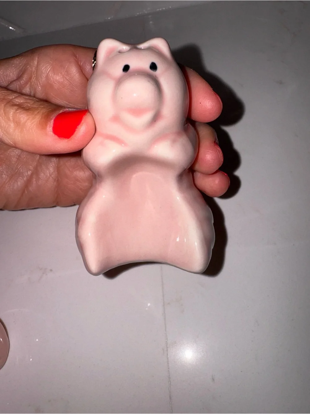 N/A horney pigs